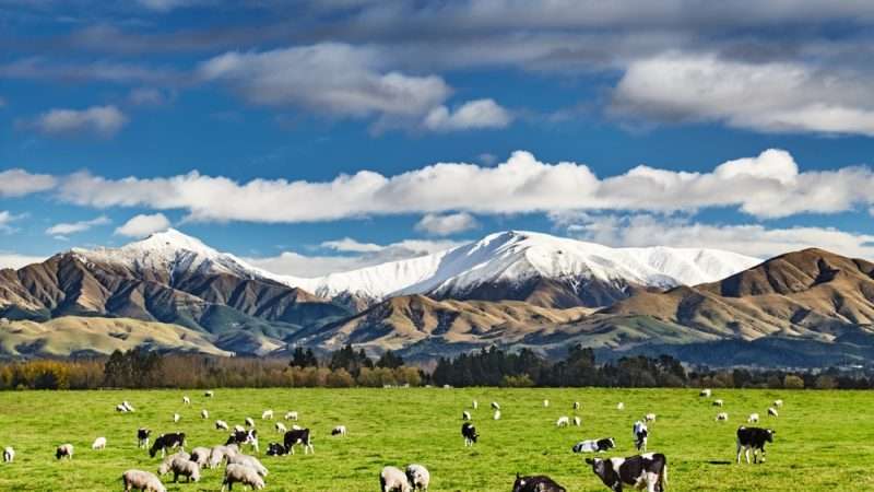 Top Scenic Places in New Zealand You Have to Visit